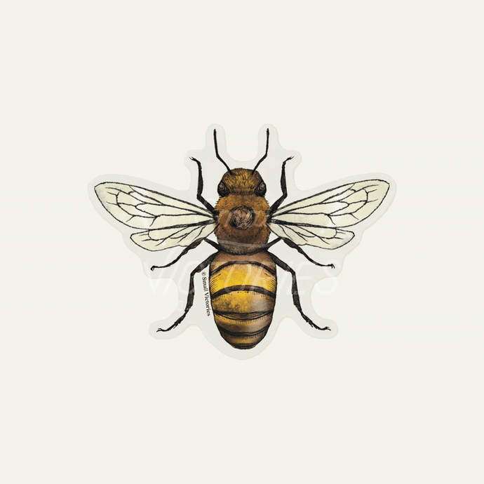 Honeybee Stickers by Small Victories