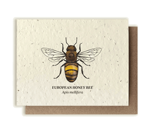 Honey Bee Plantable Wildflower Seed Card by Small Victories