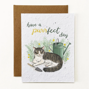 Purrfect Day Eco-Friendly Greeting Card by Verdant Paper Co.