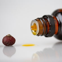 Illuminating Serum by Anointment Skincare
