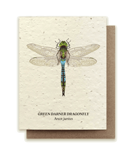 Green Darner Dragonfly - Plantable Wildflower Seed Card by Small Victories