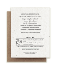 Get Well Soon Plantable Herb Seed Card by Small Victories