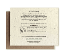 Honey Bee Plantable Wildflower Seed Card by Small Victories