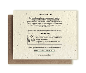 Honey Bee Plantable Wildflower Seed Card by Small Victories