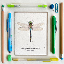 Green Darner Dragonfly - Plantable Wildflower Seed Card by Small Victories