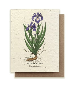 Blue Flag Iris Plantable Wildflower Seed Card by Small Victories
